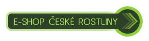 Prodej kvtin, zasenic, cibulovin, ke a stromk Wieder E-shop